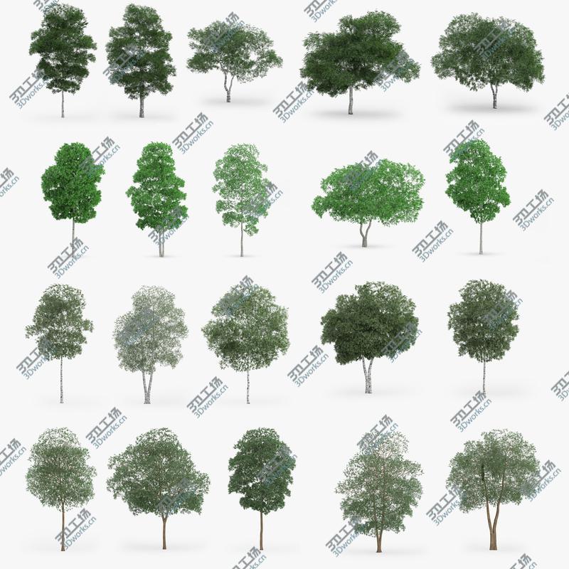 images/goods_img/202104022/Deciduous Trees Collection - 100 Trees - FBX OBJ Scanline/5.jpg